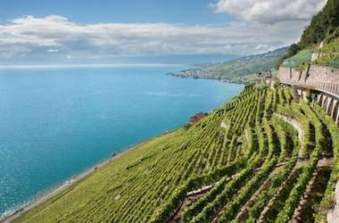 The Unexpected, Very Good Wines of Switzerland