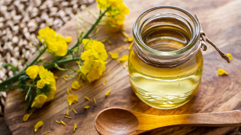 canola and canola oil