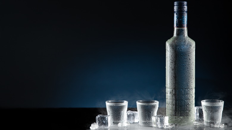 Vodka bottle and shot glasses