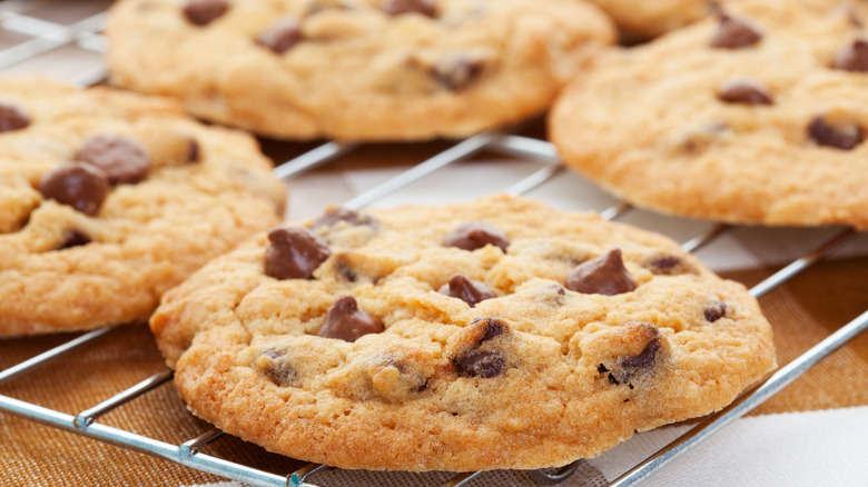 Chocolate chip cookies on rack