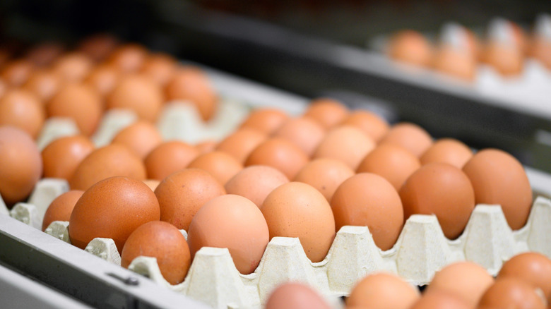 Brown chicken eggs moving along a conveyor belt in an industrial setting