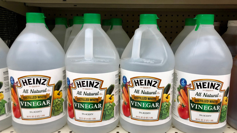 bottles of distilled white vinegar on shelf