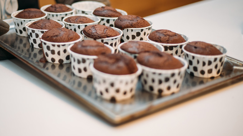 chocolate cupcakes in polka dot wrappers