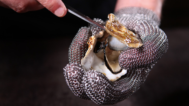 cut resistant glove oyster shuck