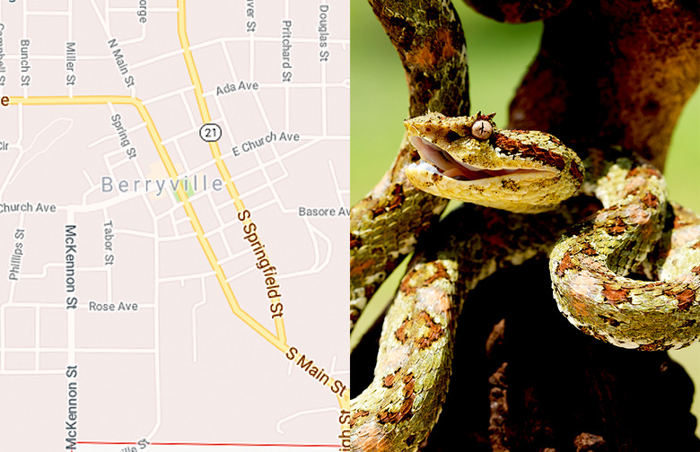 Arkansas: Snake World, Berryville