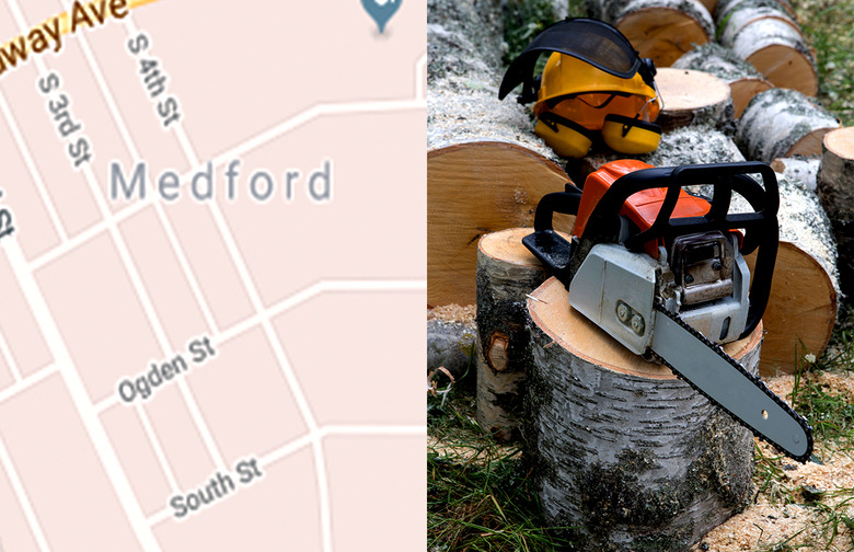 Wisconsin: Forest of Chainsaw Totem Poles, Medford