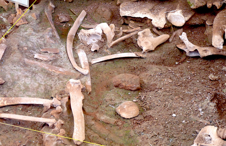 Wyoming: Pit of Buffalo Bones, Vore