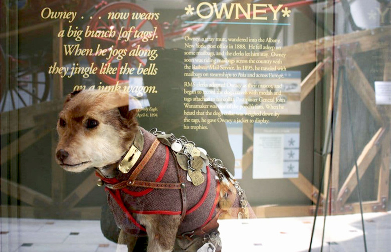 D.C. : Owney the Stuffed Dog Postal Mascot