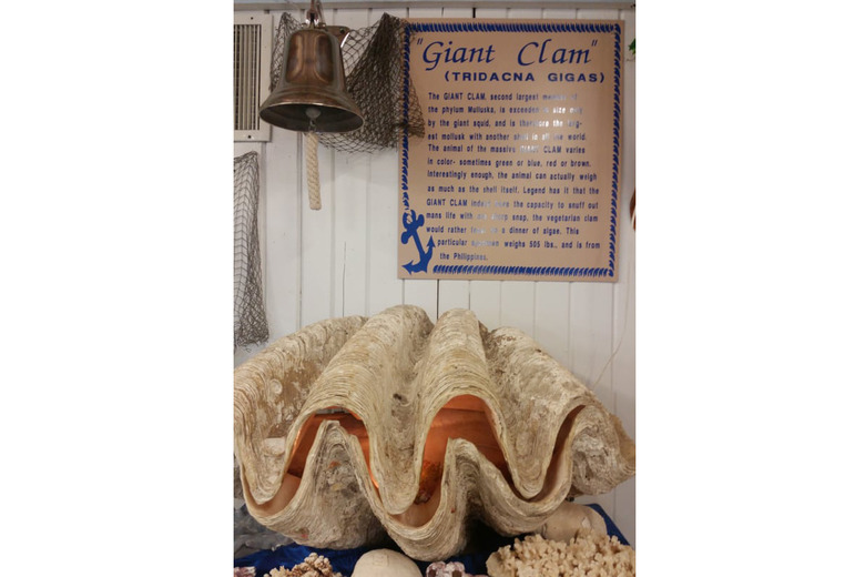 Michigan: Man-Killing Clam, Cheboygan