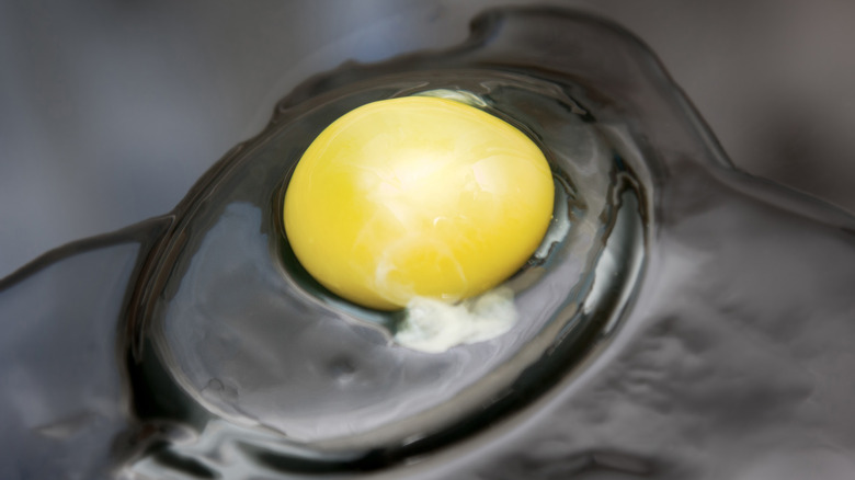 The White String You Can See In Raw Egg Yolks Has A Name