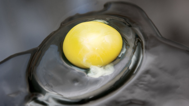 Chalaza in raw egg