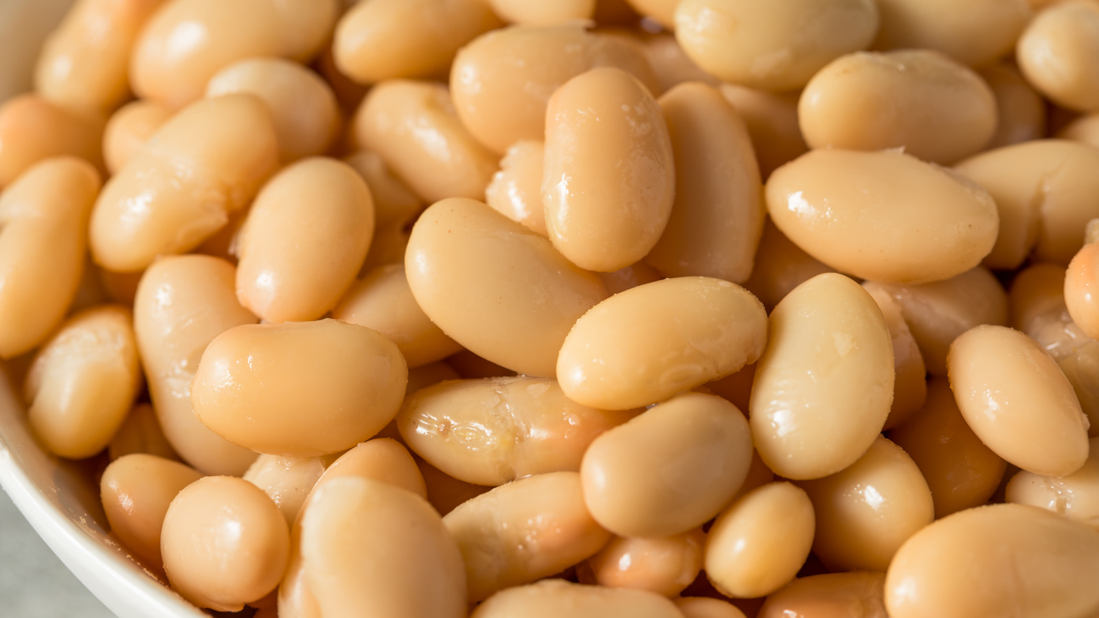 The Etymology Of Cannellini Beans Spans Many Cultures