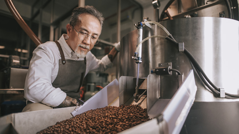 A craftsperson examining roasted coffee beans