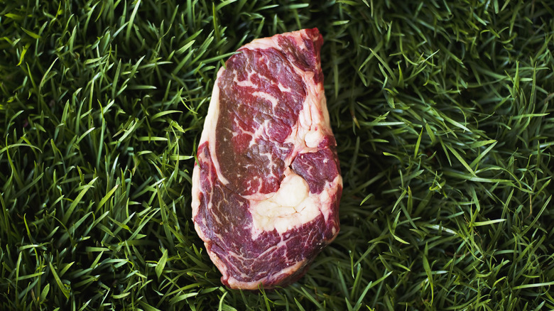 Raw pork chop on grass