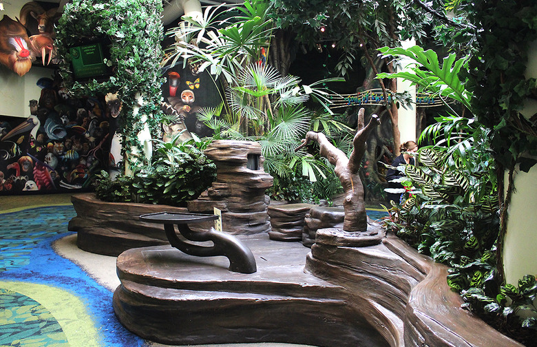 Conservation Station: Animal Kingdom