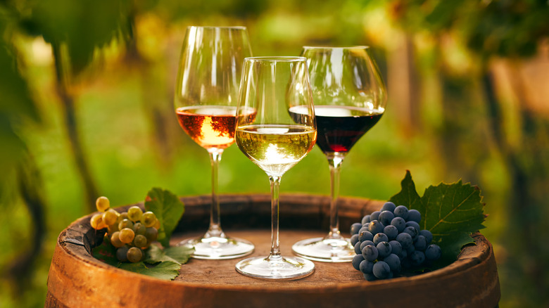 Three wine glasses in vineyard