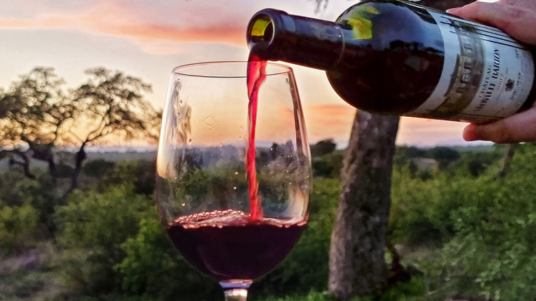 Bottle of red wine being poured into glass 