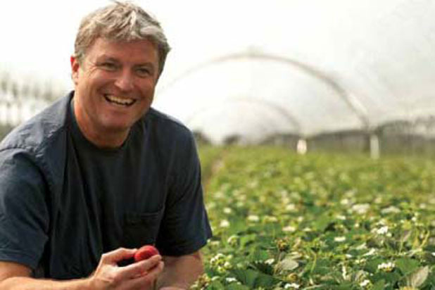 Bob Flood Strawberries