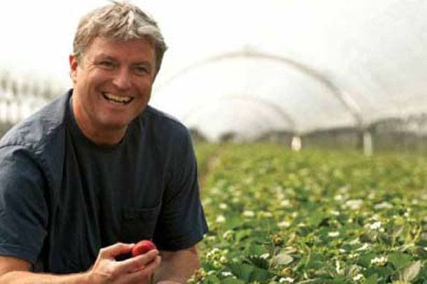 Bob Flood Strawberries