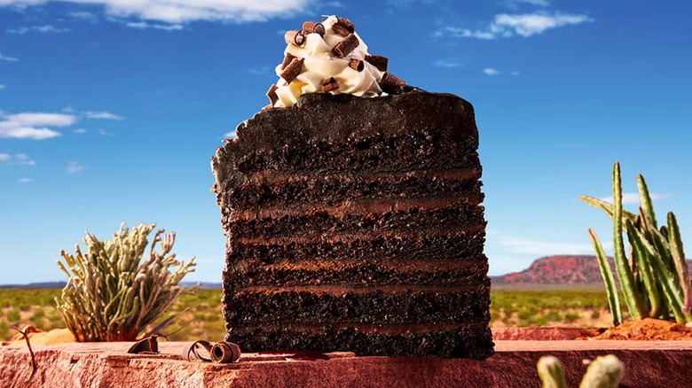 Chocolate cake slice against a desert background