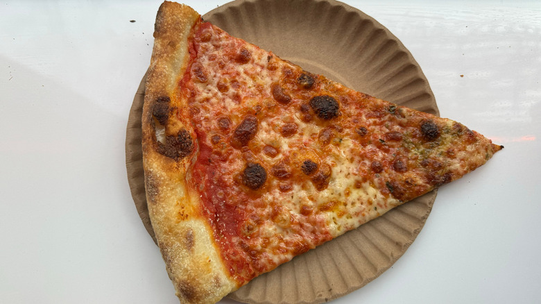 A slice of Scarr's Pizza on a paper plate