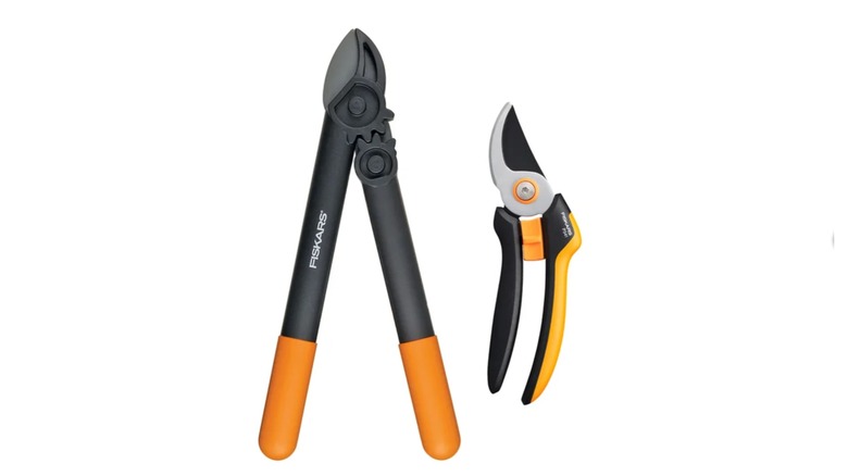 A black and yellow prunner and lopper