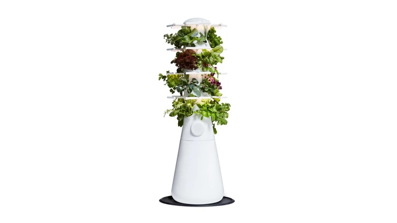 A Lettuce Grow Farmstand Nook full of lettuce