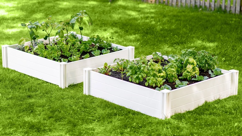 Two Vita Classic Garden Beds in a yard