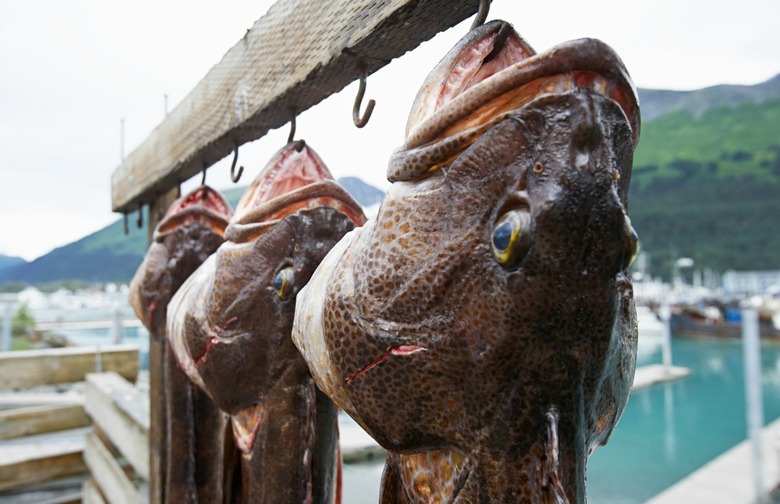 Copper River Seafoods