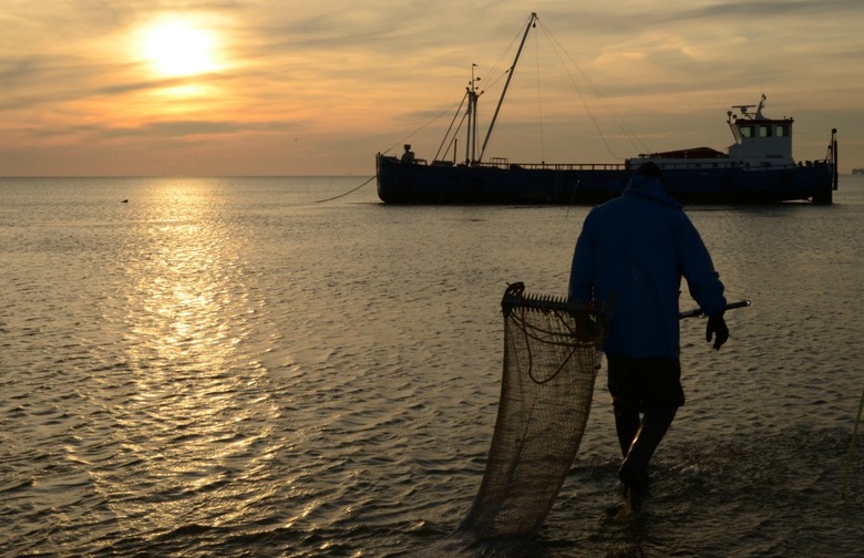 Marine Stewardship Council