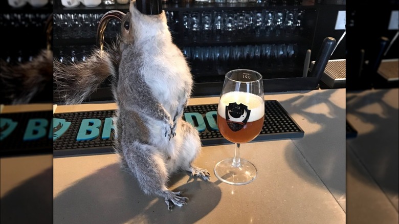 A bottle of BrewDog The End of History sits next to a glass on a bar counter