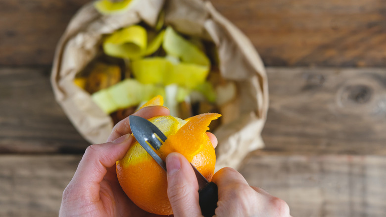 orange being peeled above compost