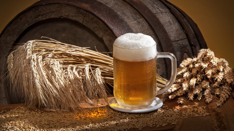 Frothy beer stein next to barley and barrel