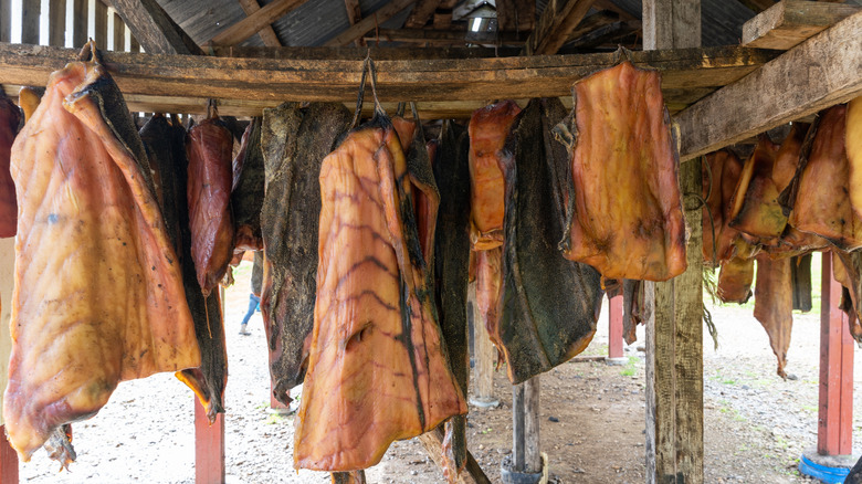 Pieces of Hákarl hanging in rows in a drying shed.