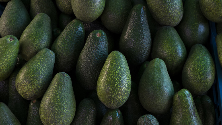 A large amount of avocados piled atop eachother