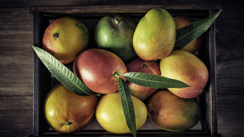 Crate of mangoes on a table