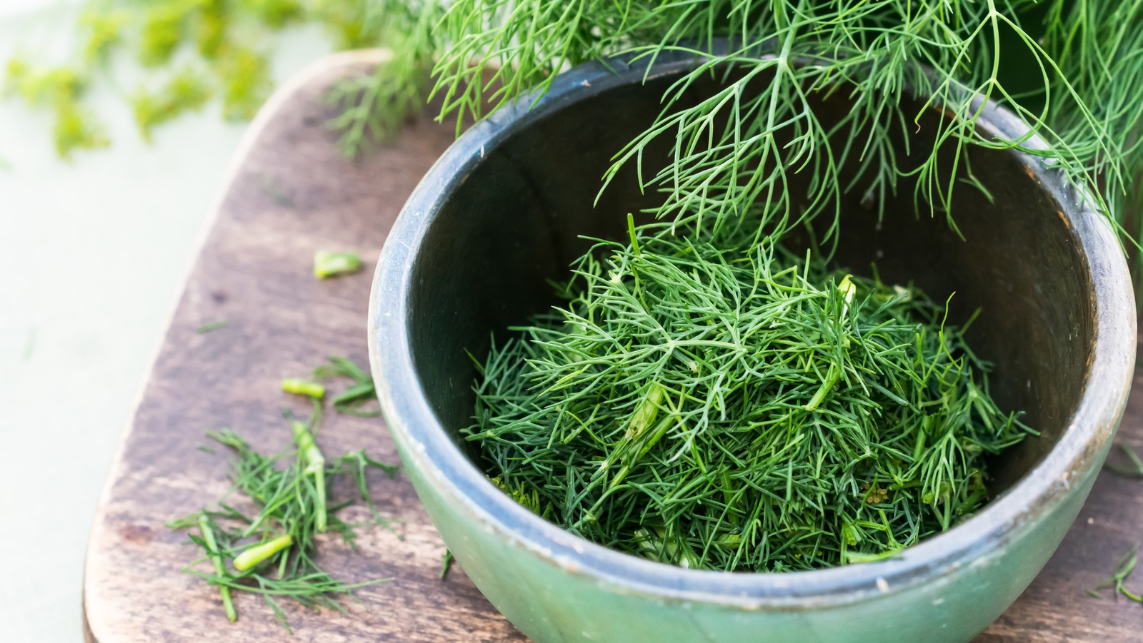 The Refrigerator Is The Best Method To Store Fresh Dill