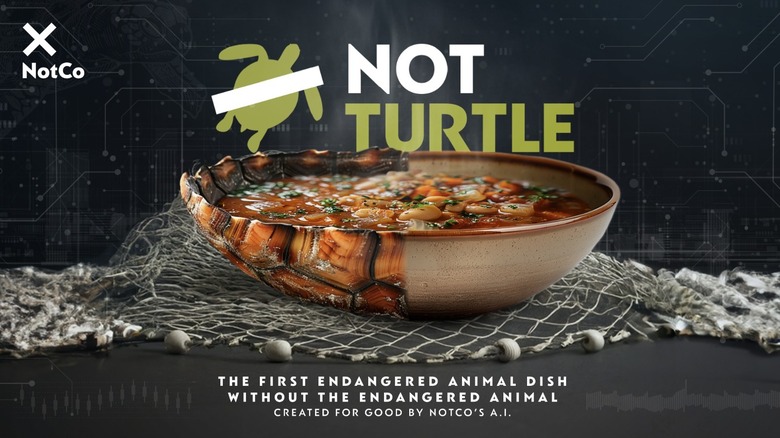 Not turtle soup