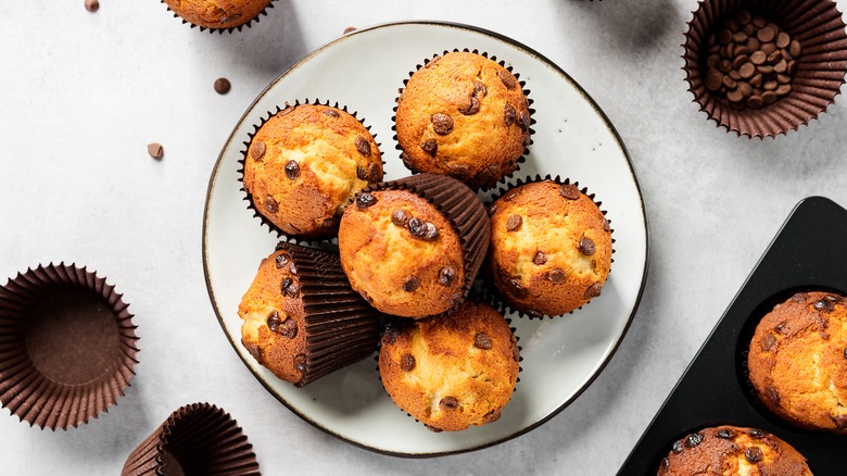 Chocolate chip muffins on a white plate