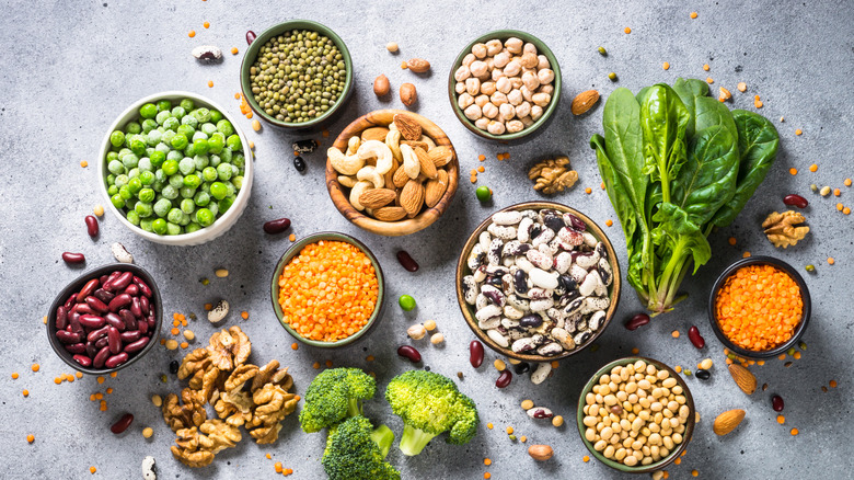 A variety of beans and lentils arranged in bowls.