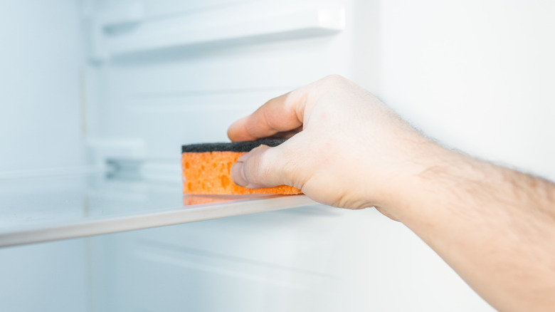 Hand placing sponge on refrigerator shelf
