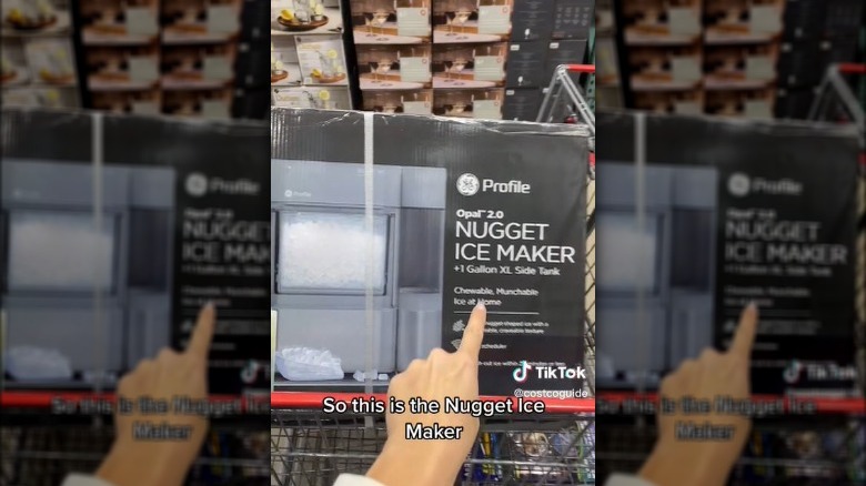 Screenshot of ice TikTok video