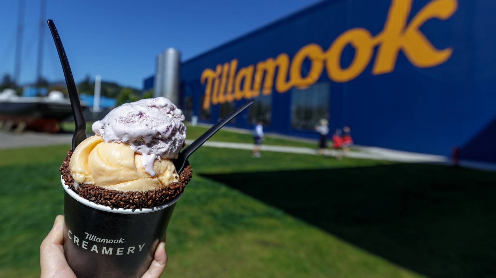 Ice Cream: Tillamook Ice Cream and Frozen Dessert - Tillamook