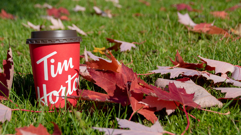 A cup from Tim Hortons in the grass