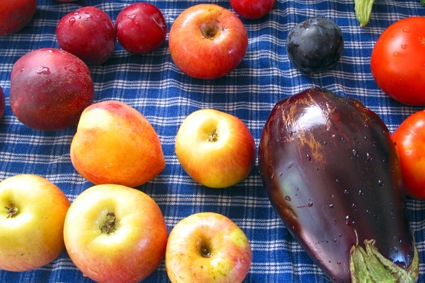 Focus On Handheld Foods