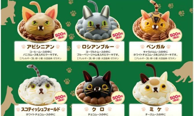 Tokyo cat cakes 