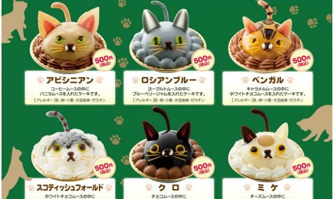 Tokyo cat cakes
