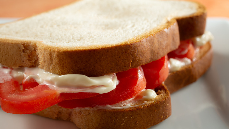 Close-up of a tomato cheese sandwich on gluten-free white bread