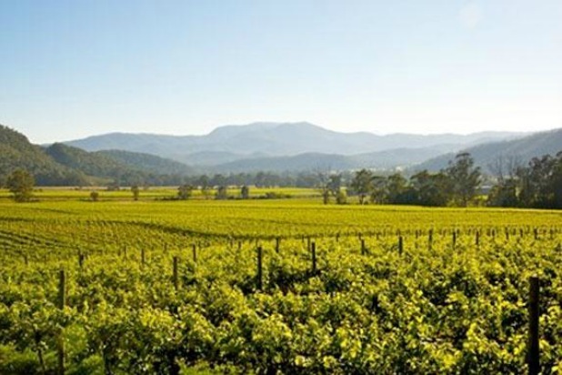 8. High Country Harvest 