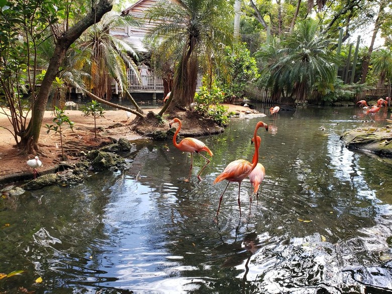 Palm Beach Zoo